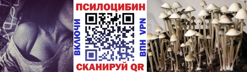 Псилоцибиновые грибы GOLDEN TEACHER  Артёмовск 